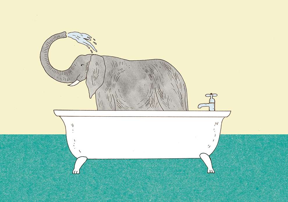 Harriet Russell, Elephant in a bath tub